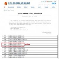 国家级“小巨人”，远东股份两家！